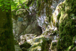 Die als Steinkammern bezeichneten Höhlenreste entstanden vor über 350 Mio. Jahren in Kalkfelsen als Teil eines mächtigen Korallenriffs. Die im Jahr 1884 entdeckte Grabkammer aus der Hallstattzeit wurde vor 2500 Jahren bis zur Zeitenwende genutzt. @ Jan Bosch© Jan Bosch