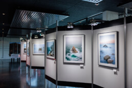 Die Fotoausstellung Seascapes von Jan Bosch ist vom 30.7. - 15.9.2023 im Tertiärmuseum im Stöffel-Park in Enspel zu sehen. Ausführliche Informationen unter www.janbosch.de/fotoausstellung-seascapes-stoeffel-park/© Jan Bosch