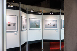 Die Fotoausstellung Seascapes von Jan Bosch ist vom 30.7. - 15.9.2023 im Tertiärmuseum im Stöffel-Park in Enspel zu sehen. Ausführliche Informationen unter www.janbosch.de/fotoausstellung-seascapes-stoeffel-park/© Jan Bosch